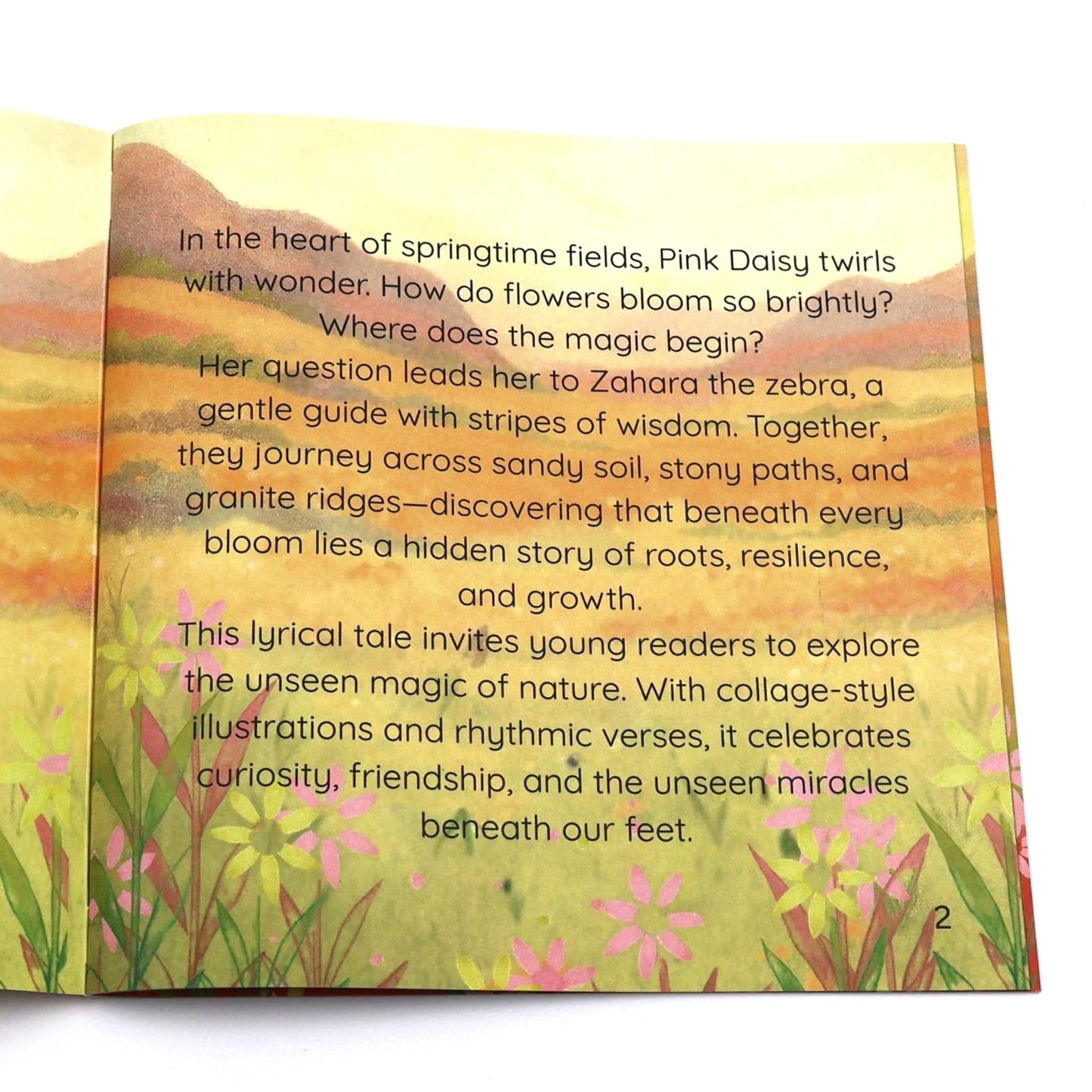 Pink Daisy meets Wise Zahara